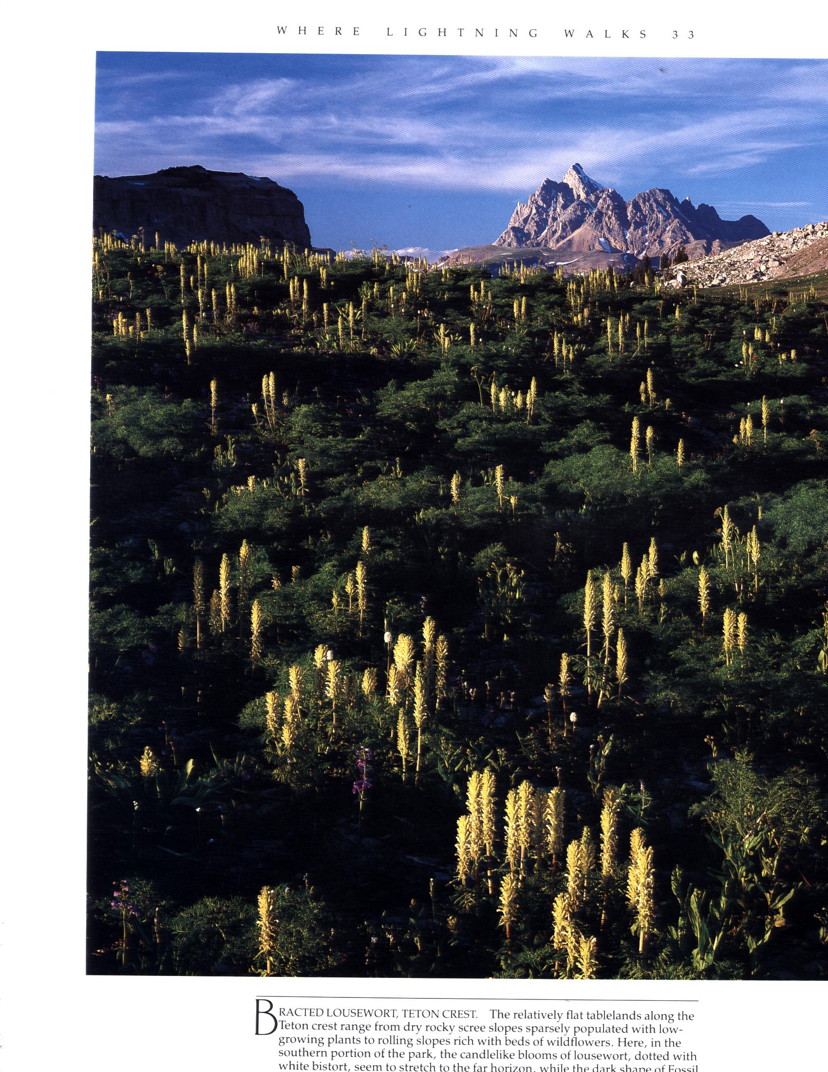 GRAND TETON NATIONAL PARK: where lightning walks. GRTE0696h